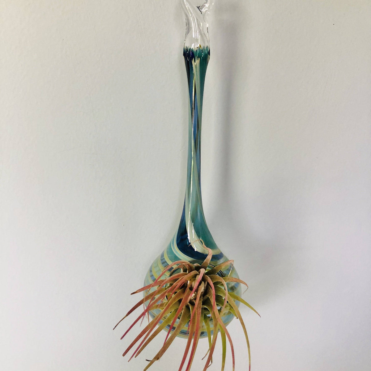 Air Plant Hanging Drop Vase 136 Luke Adams Glass Blowing Studio 