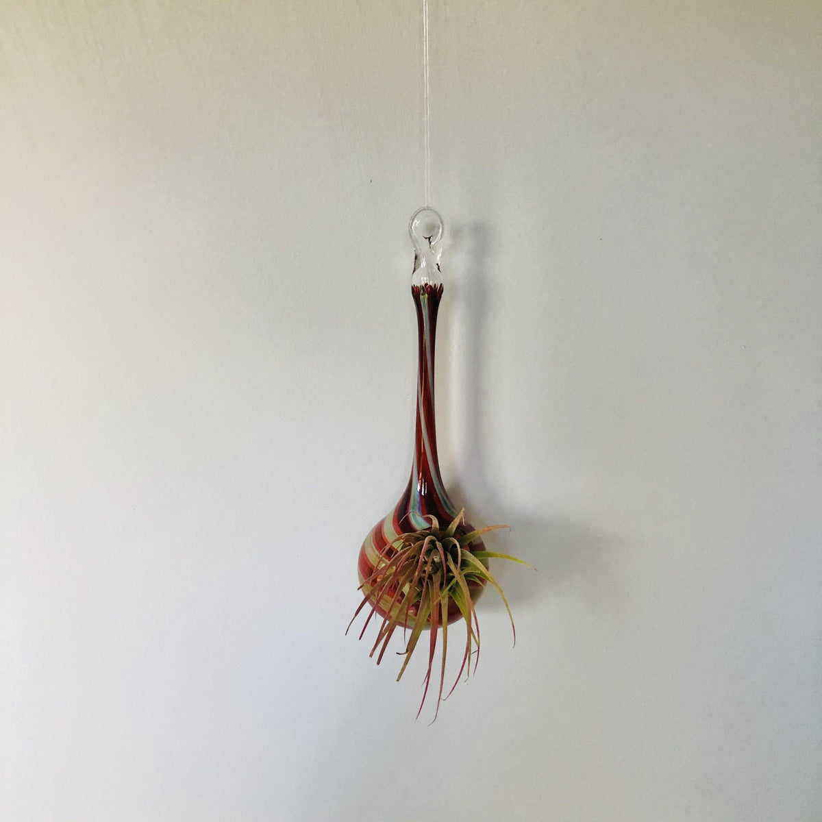 Air Plant Hanging Drop Vase 132 Luke Adams Glass Blowing Studio 