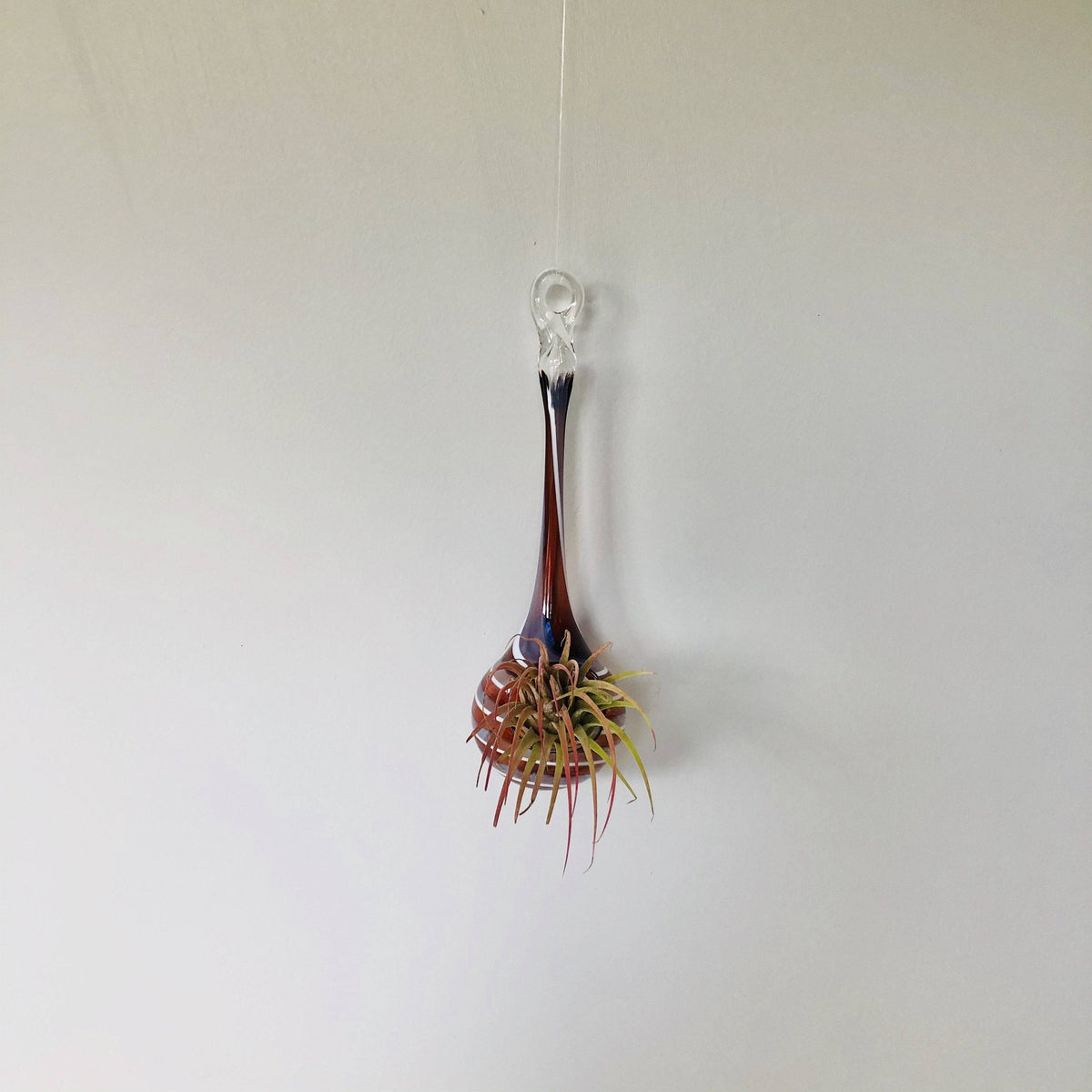 Air Plant Hanging Drop Vase 122 Luke Adams Glass Blowing Studio 