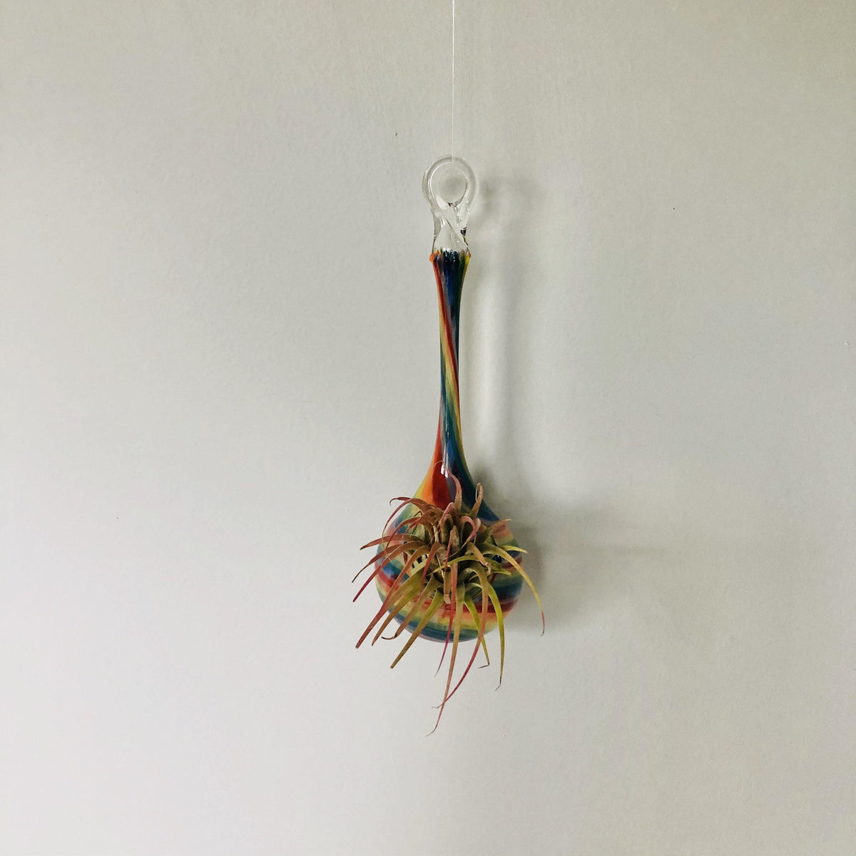 Air Plant Hanging Drop Vase 147 Luke Adams Glass Blowing Studio 