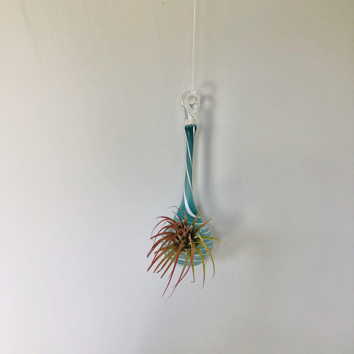 Air Plant Hanging Drop Vase 108 Luke Adams Glass Blowing Studio 