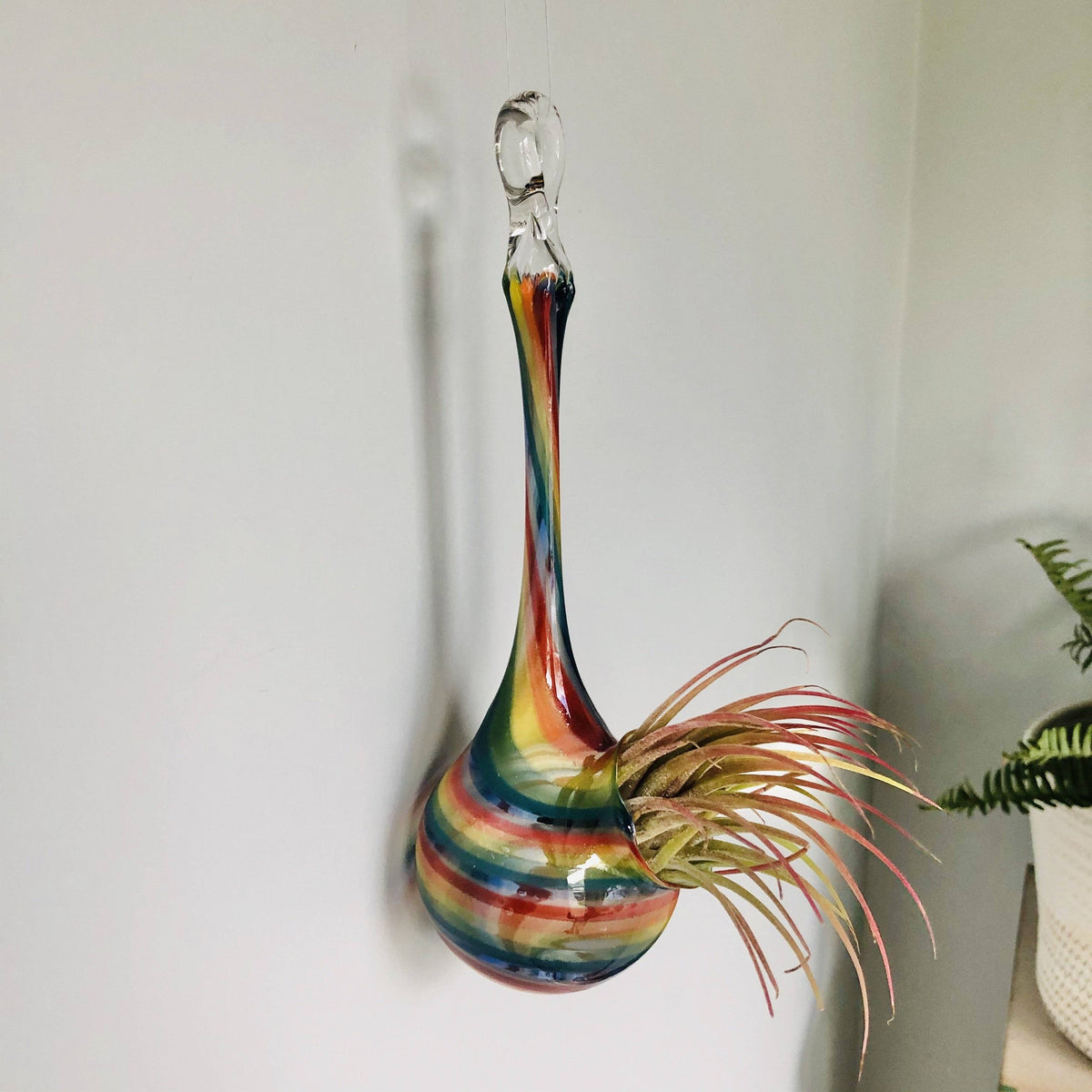 Air Plant Hanging Drop Vase 147 Luke Adams Glass Blowing Studio 