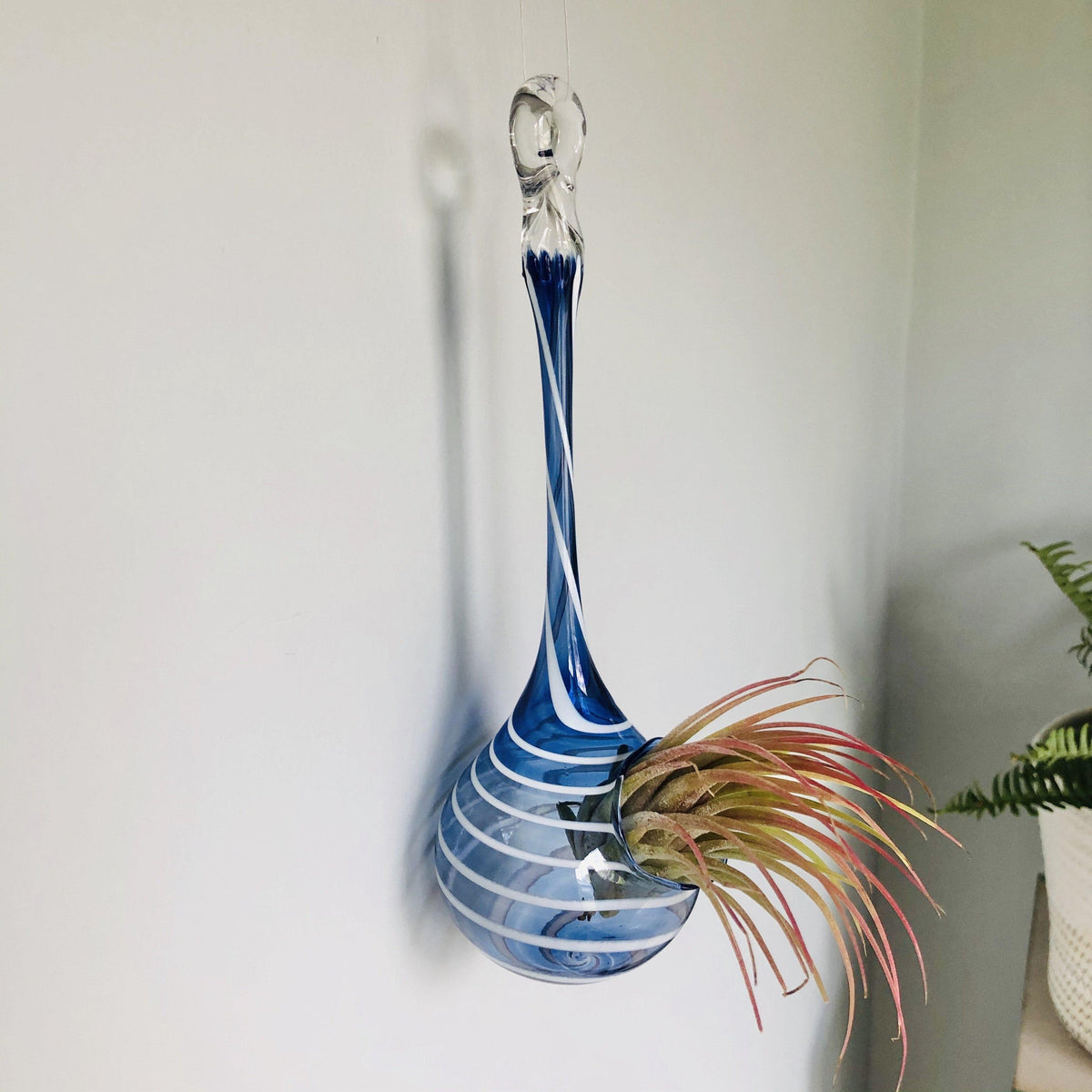 Air Plant Hanging Drop Vase 135 Luke Adams Glass Blowing Studio 