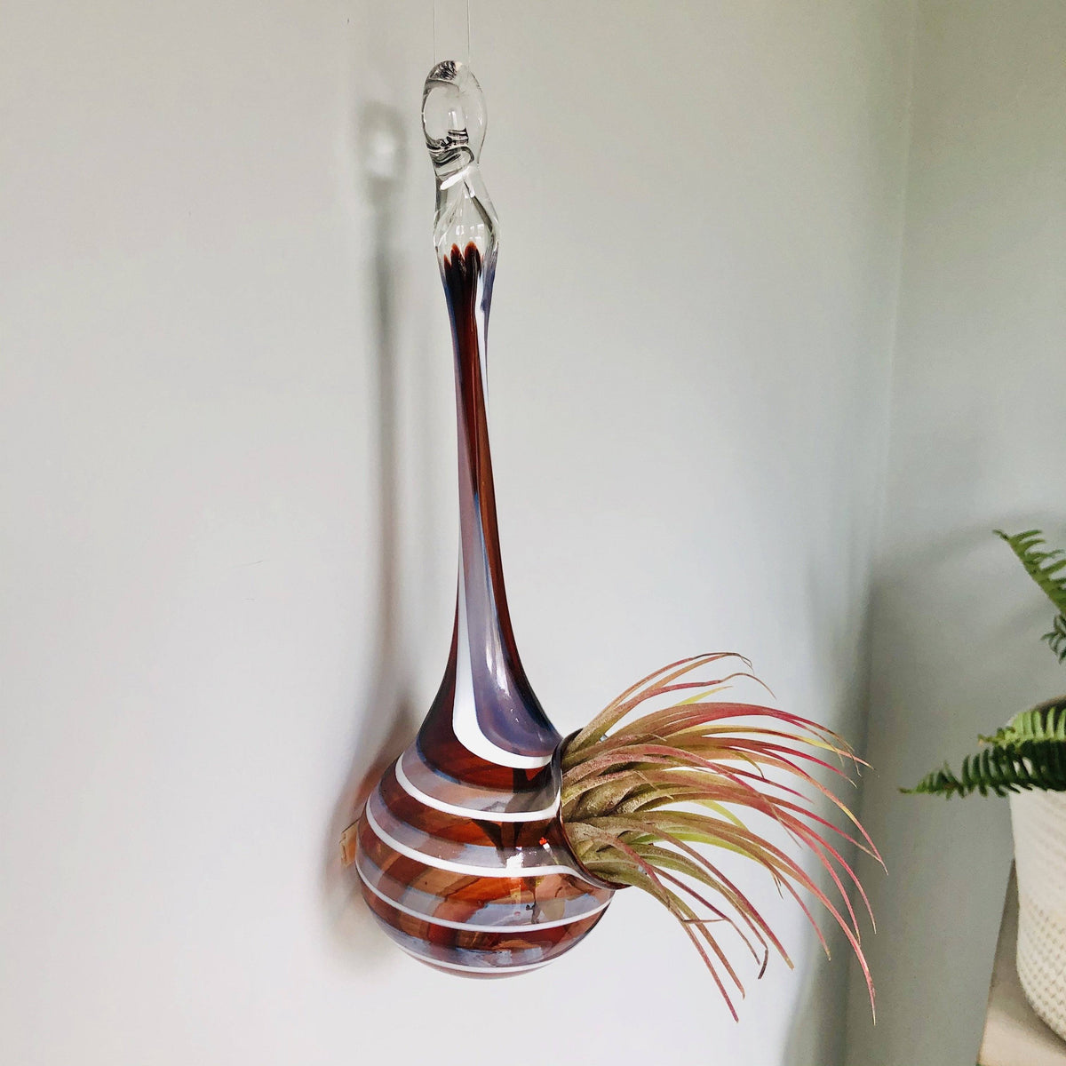 Air Plant Hanging Drop Vase 122 Luke Adams Glass Blowing Studio 