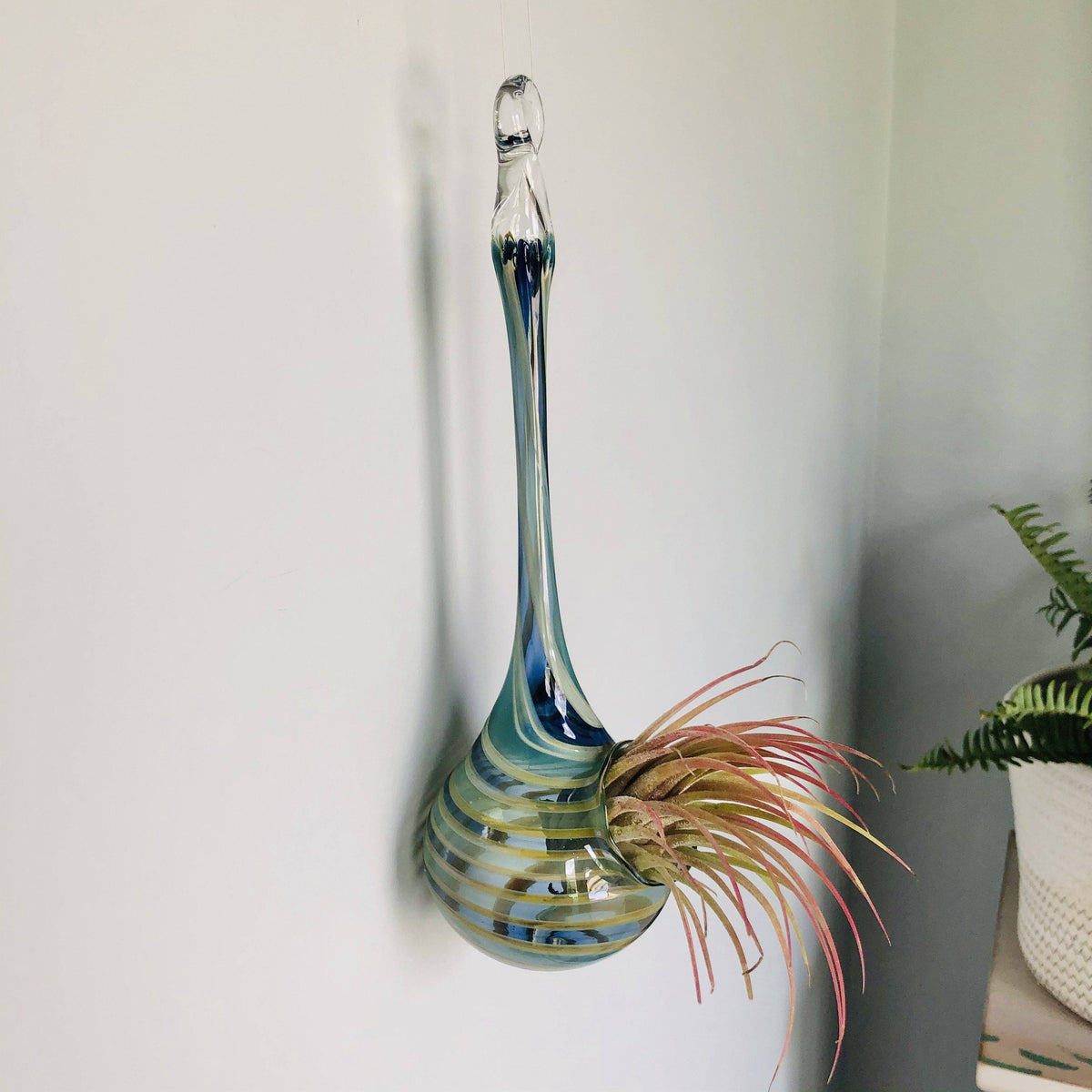 Air Plant Hanging Drop Vase 136 Luke Adams Glass Blowing Studio 