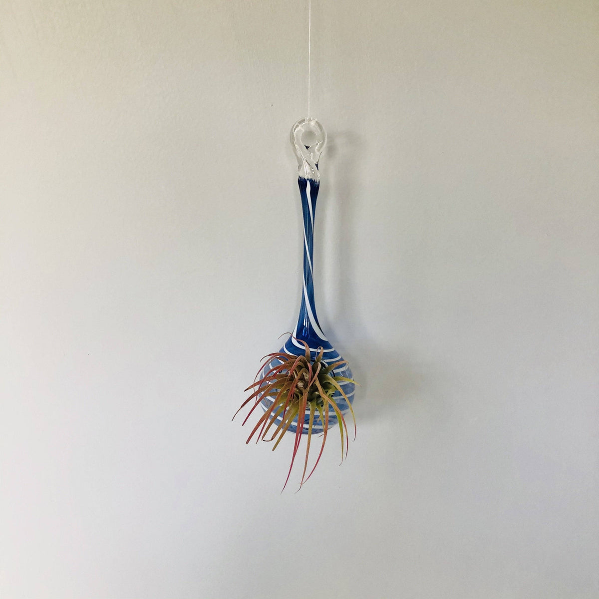 Air Plant Hanging Drop Vase 135 Luke Adams Glass Blowing Studio 