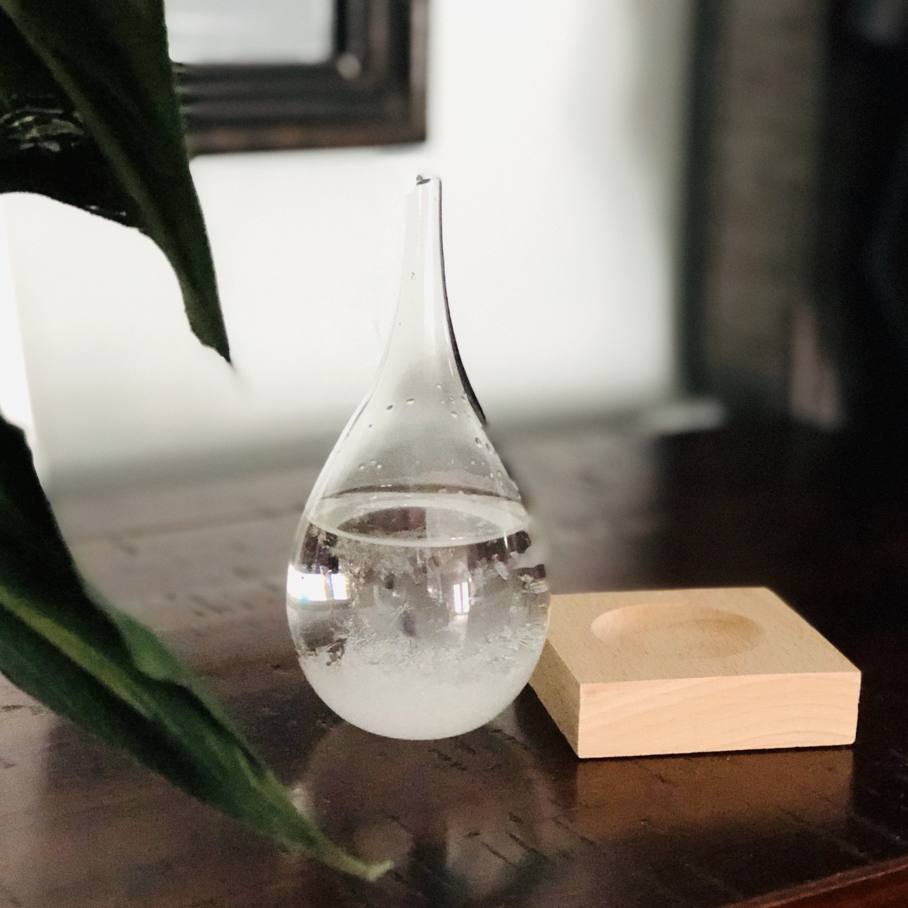 Tear Drop Storm Glass With Wood Base