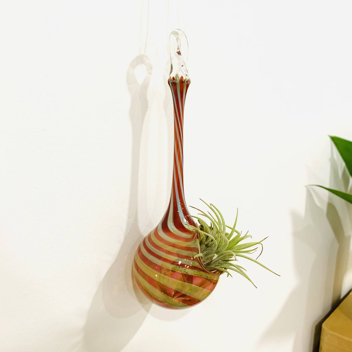 Air Plant Hanging Drop Vase 197 Probstein Studios 