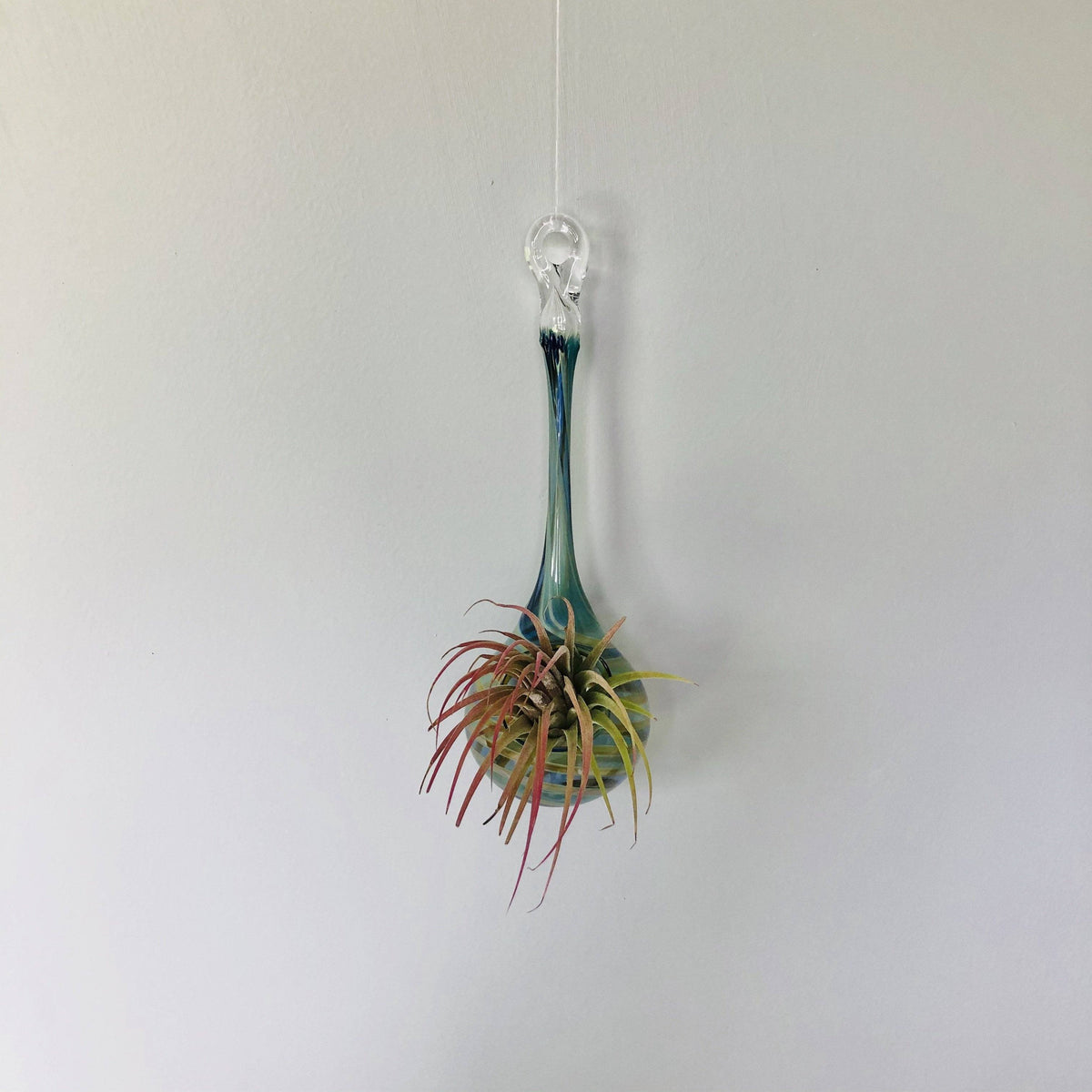 Air Plant Hanging Drop Vase 114 Luke Adams Glass Blowing Studio 