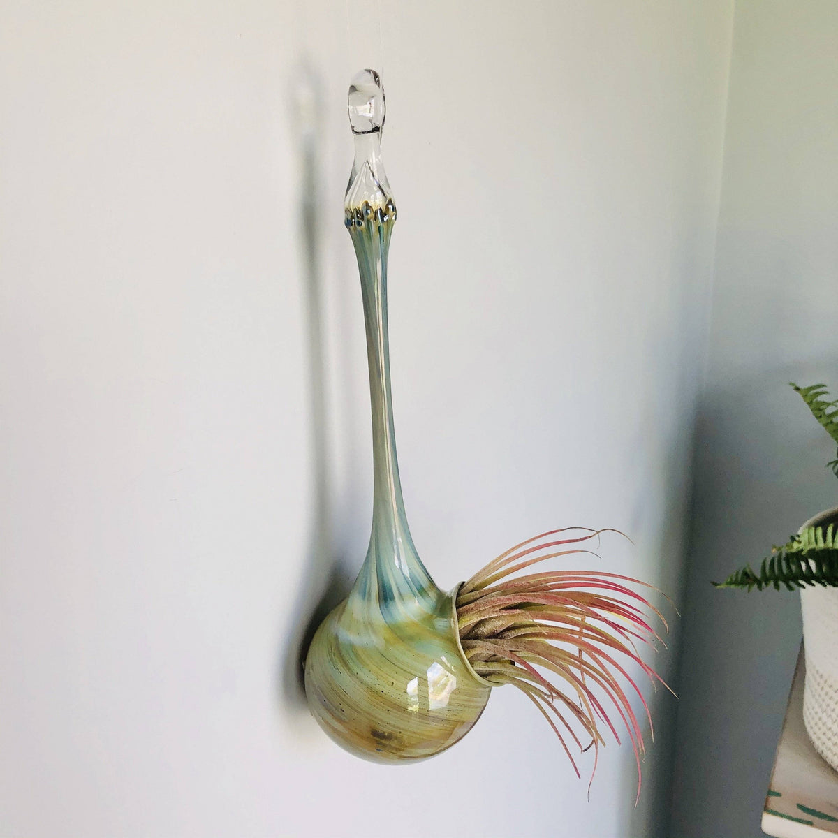 Air Plant Hanging Drop Vase 137 Luke Adams Glass Blowing Studio 