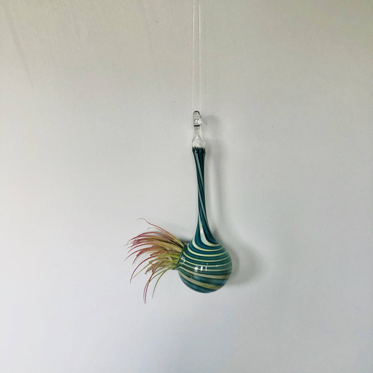 Air Plant Hanging Drop Vase 160 Luke Adams Glass Blowing Studio 