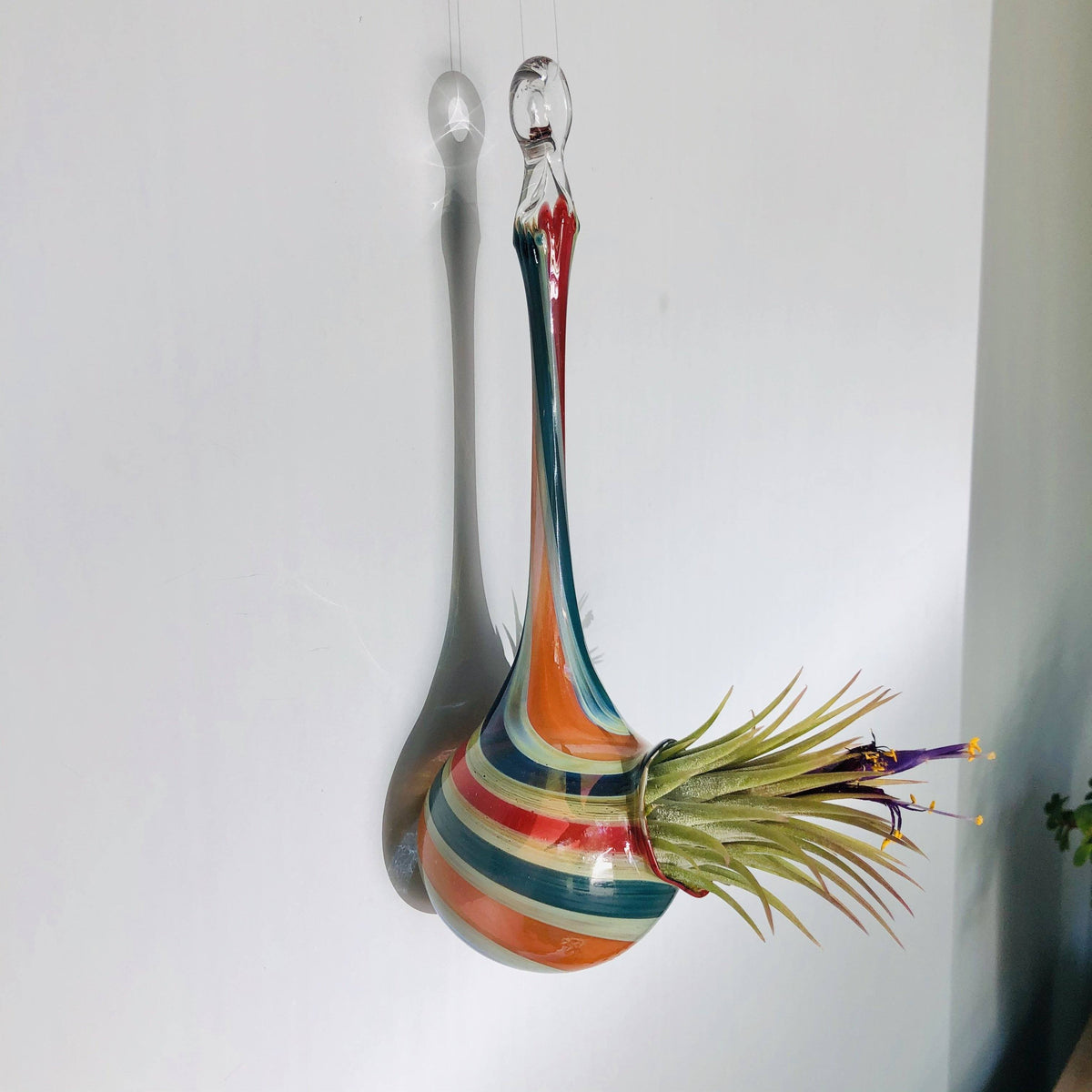 Air Plant Hanging Drop Vase 188 Luke Adams Glass Blowing Studio 