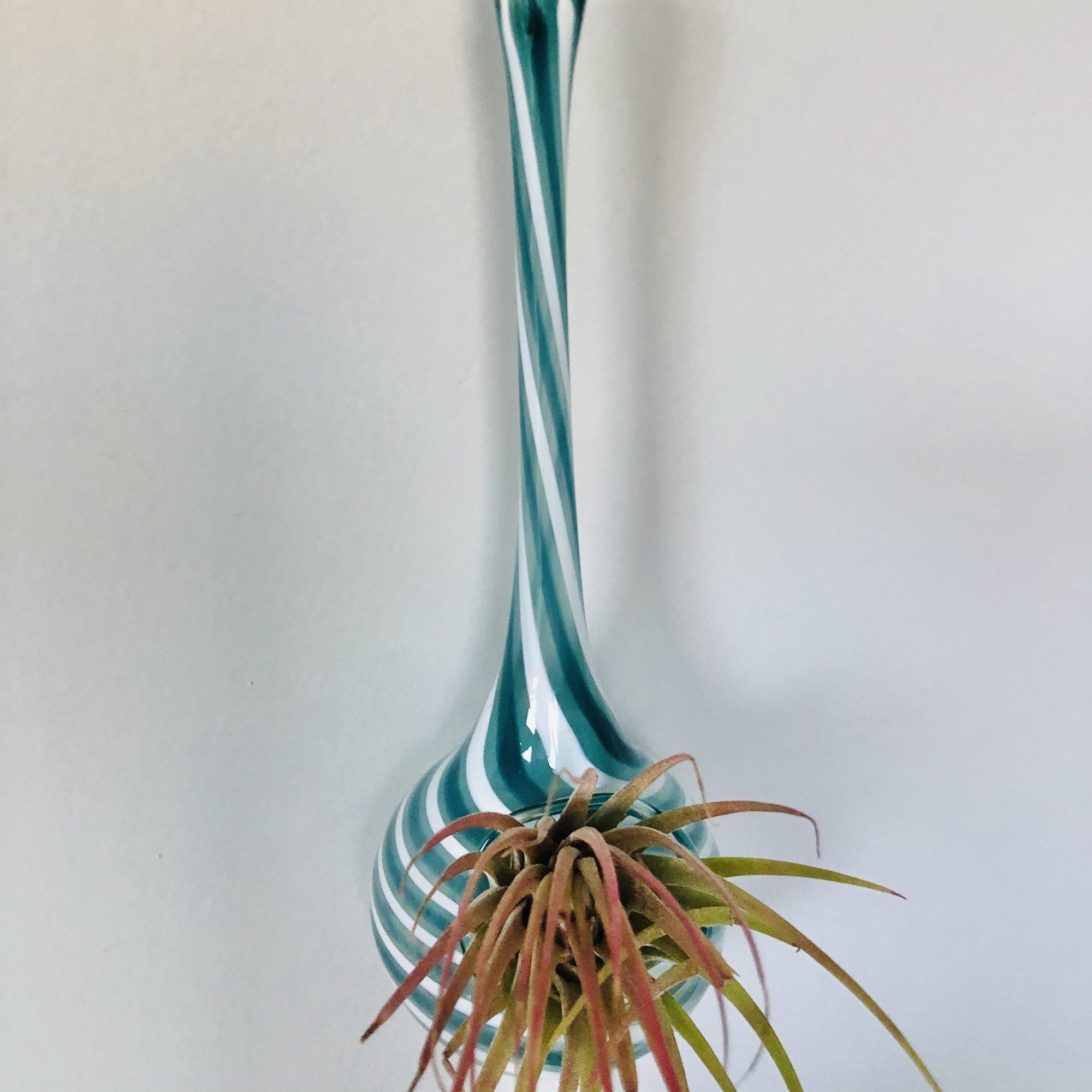 Air Plant Hanging Drop Vase 166 Luke Adams Glass Blowing Studio 