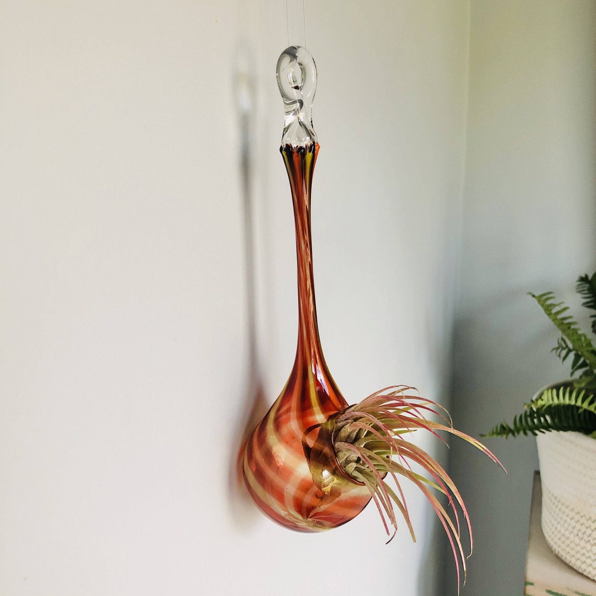 Air Plant Hanging Drop Vase 131 Luke Adams Glass Blowing Studio 