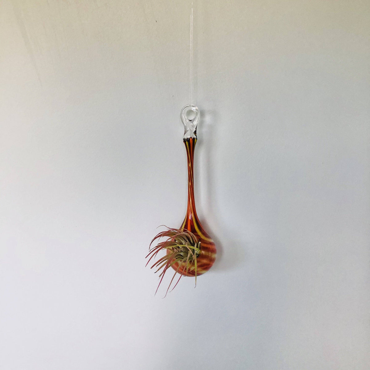 Air Plant Hanging Drop Vase 131 Luke Adams Glass Blowing Studio 