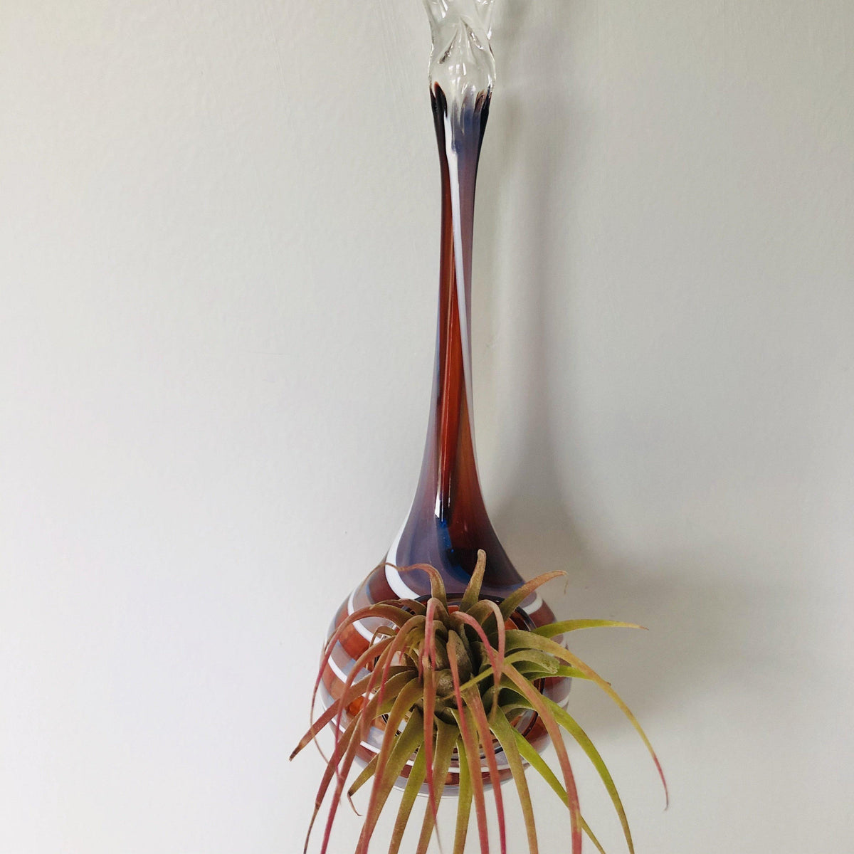 Air Plant Hanging Drop Vase 122 Luke Adams Glass Blowing Studio 