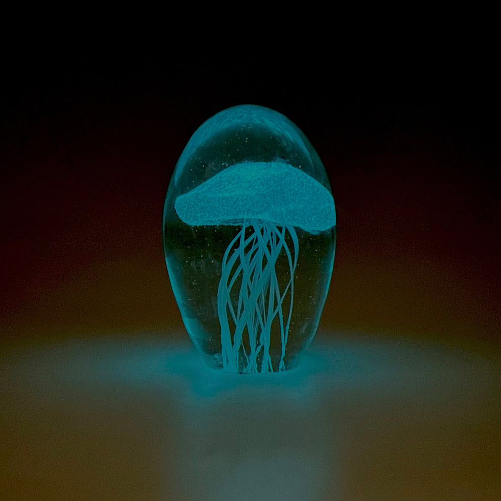 Large Jellyfish Glow good in the Dark Paperweight