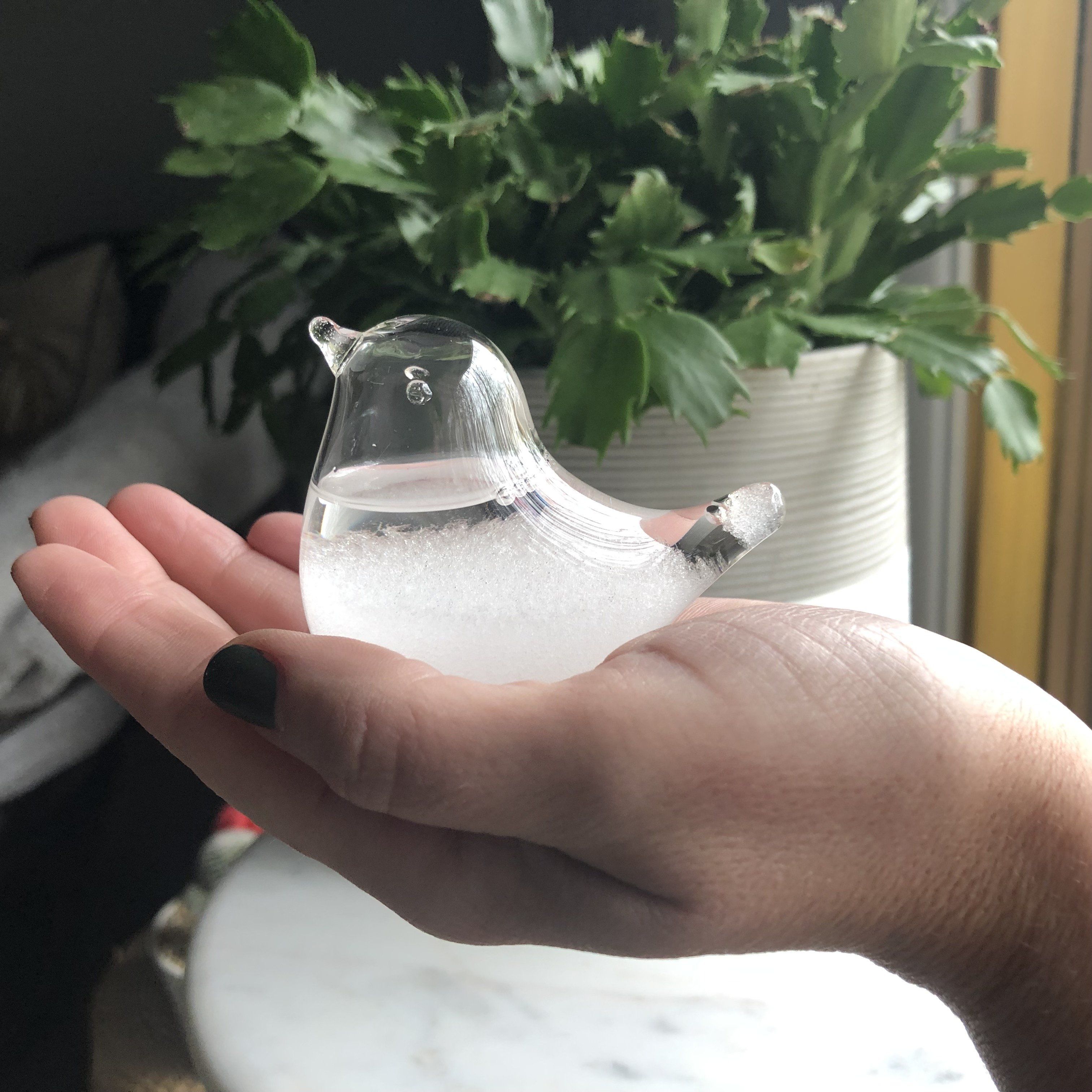 Storm Glass Weather Predictor, Does that Actually Work? - Design Swan