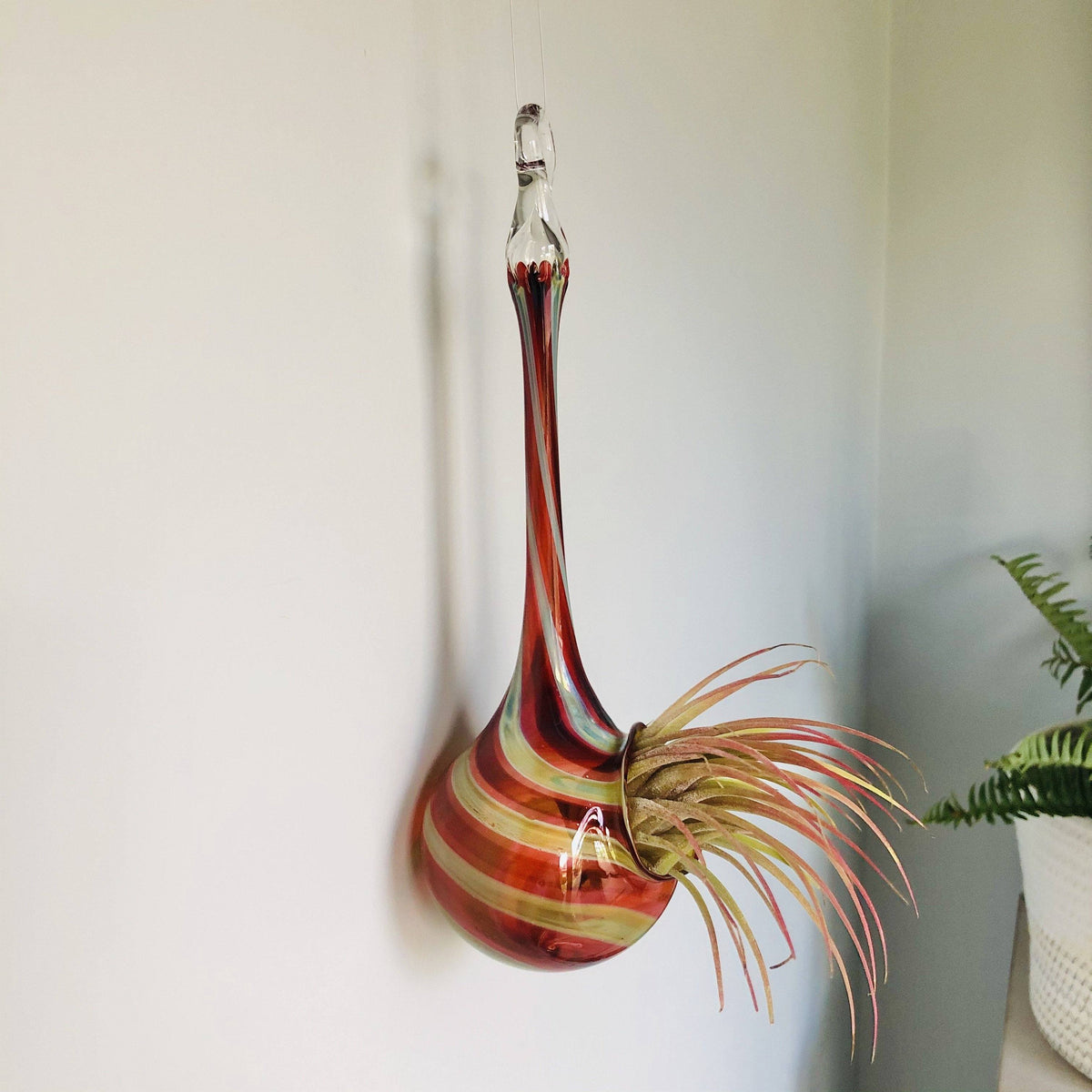 Air Plant Hanging Drop Vase 132 Luke Adams Glass Blowing Studio 