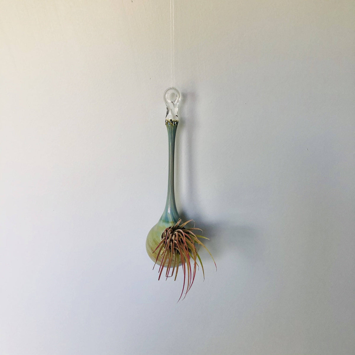 Air Plant Hanging Drop Vase 137 Luke Adams Glass Blowing Studio 